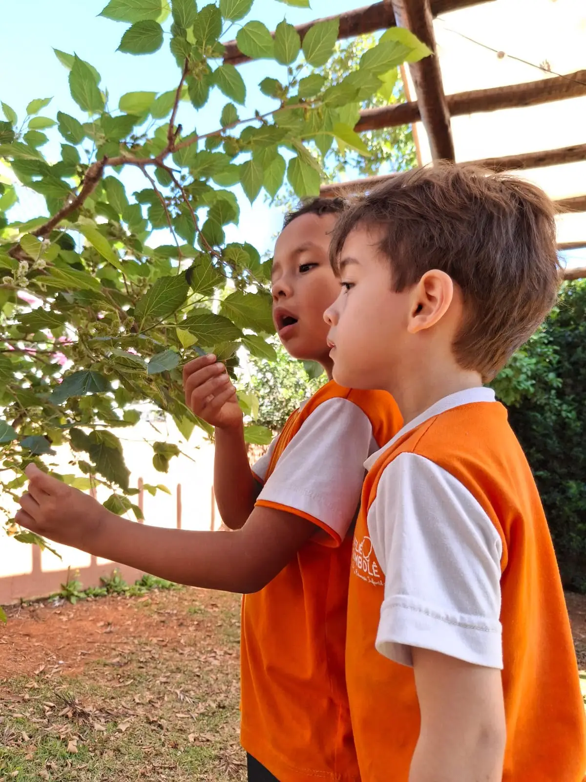 Área Externa